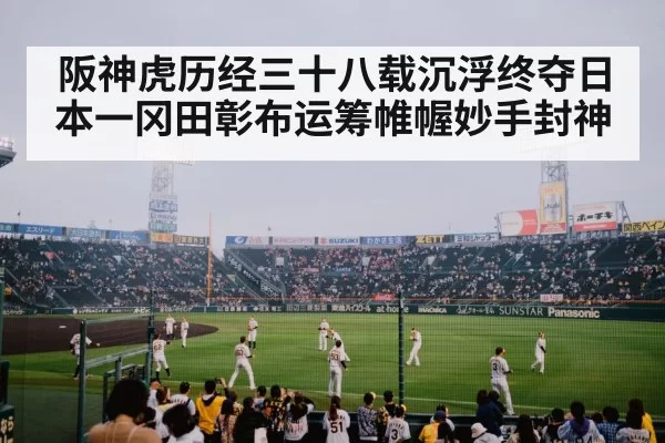 阪神虎历经三十八载沉浮终夺日本一冈田彰布运筹帷幄妙手封神