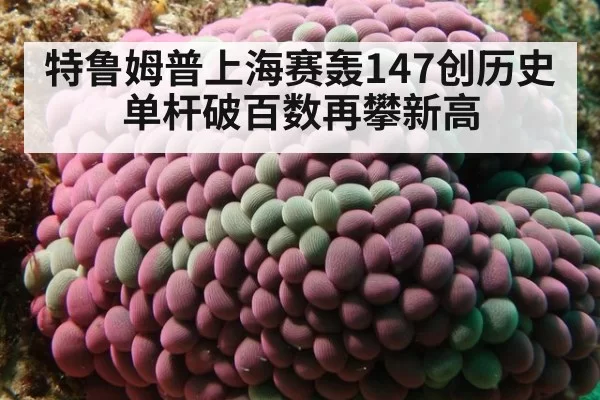 特鲁姆普上海赛轰147创历史单杆破百数再攀新高