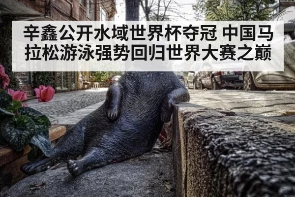 辛鑫公开水域世界杯夺冠 中国马拉松游泳强势回归世界大赛之巅